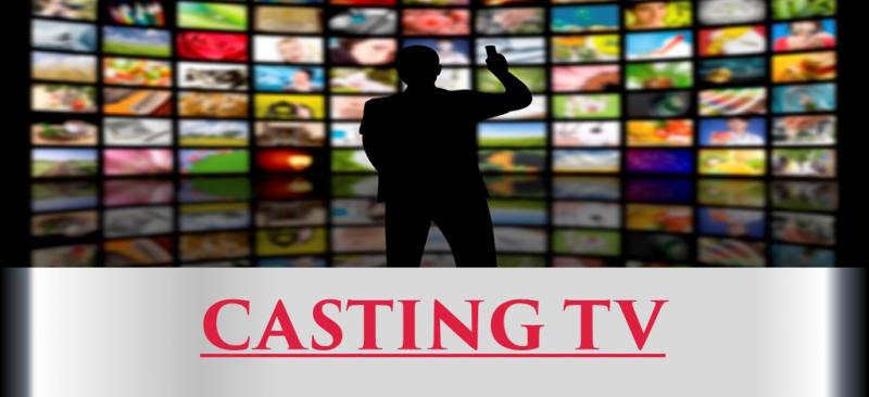 Universitatea „Aurel Vlaicu” Arad îşi „trage” televiziune. Crezi că ai talent? Participă la casting!