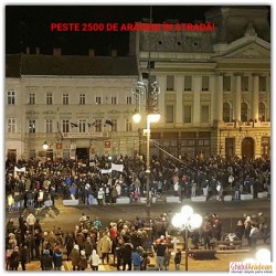 UPDATE! GALERIE FOTO! Peste 500 de arădeni în fața Primăriei din Arad la ora 19.00 ! ACESTA NU ESTE GUVERNUL MEU, este unul din mesajele scrise pe pancarte ! 