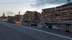 Transport ilegal de material lemnos oprit în trafic de polițiști