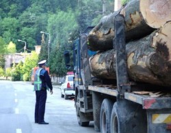 Transport ilegal de lemne, depistat de polițiști