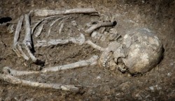 Descoperire macabră într-o localitate din Arad