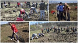 O “gaşcă” de arădeni inimoşi şi iubitori de natură, au pornit o acţiune frumoasă de plantare de copaci sâmbătă dimineaţa în loc să stea pe o terasă la o “cafă”