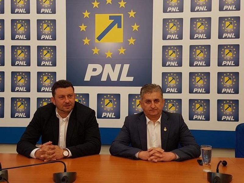 Abrudan se retrage, Pistru intră în cursa pentru preşedenţia PNL Arad