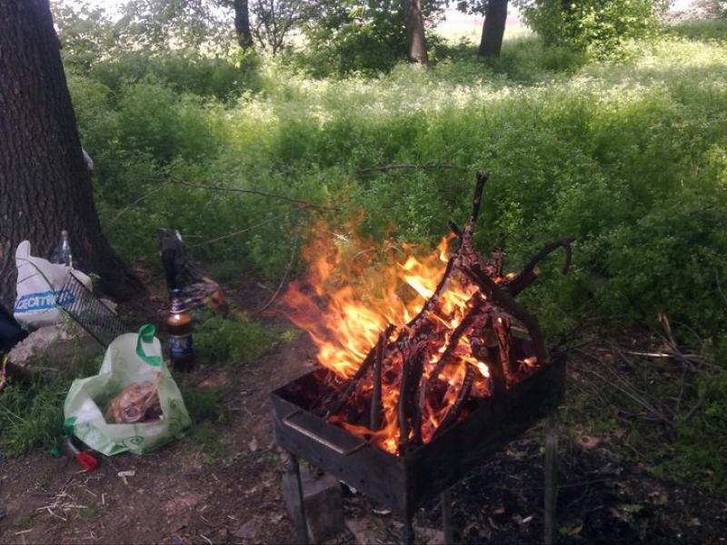 Ce trebuie să şti dacă mergi la pădure de 1 Mai