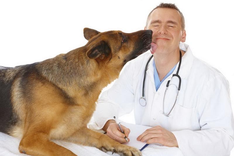 15 mai, Ziua Naţională a Medicului Veterinar 