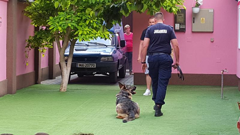 Jandarmii arădeni prezenți la o grădiniță din Arad !