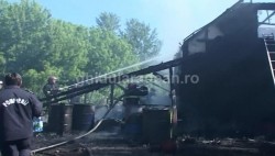 Un incendiu de proporţii a mistuit o cabană din pădurea Vladimirescu (Galerie Foto)