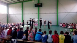 Elevii Liceului cu Program Sportiv Arad, în pași de dans !