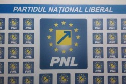 Curtea de arbitraj a hotărât! Alegeri invalidate la PNL ARAD!