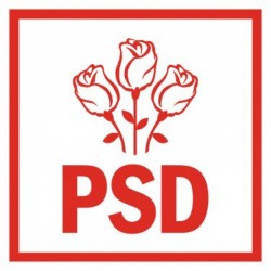 PSD Arad nu poate tolera manevrele ilegale şi limbajul mizerabil al primarului Falcă