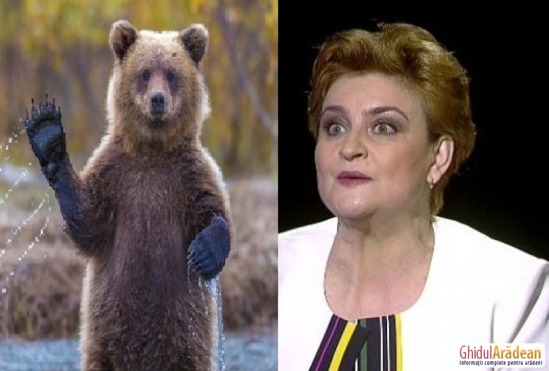 Ministrul Mediului, Graţiela Gavrilescu,  vrea să vândă blana ursului din pădure! La propriu!