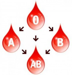 Spune-mi ce grupă sanguină ai și AFLI la ce boli ești expus !