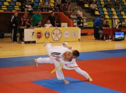 Aradul va găzdui Cupa Europeană de Judo pentru juniori