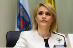 Firea vrea hotel, cimitir şi chiar un serviciu de ambulanţă pentru câinii şi pisicile din Bucureşti