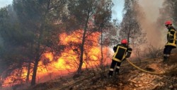 Incendiile de pădure, o problemă tot mai des întâlnită în România! Peste 1000 de hectare de pădure au ars în prima jumătate a anului!
