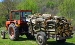 Prins cu ....lemnul în tractor  !