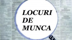 2162 LOCURI de MUNCA inregistrate în judeţul ARAD. Vezi ce caută angajatorii!