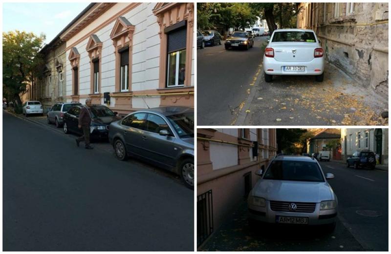 Tupeu de bizon, amendat de Poliţia Locală