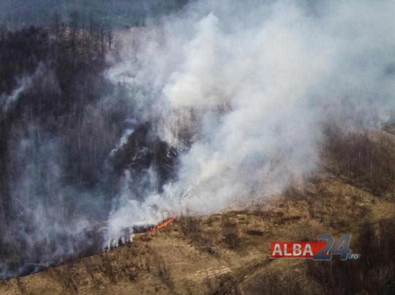 ARDE o pădurea în Apuseni! flăcările care au făcut PRĂPĂD pe zeci de hectare!