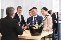 Camera de Comerț, Industrie și Agricultură Arad, mediator în procesul de atragere a investitorilor chinezi 