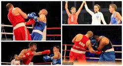 BOX: Gala Campionilor 2017 Arad