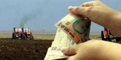 De luni începe plata avansului la subvențiile agricole pe 2017. AFLĂ câți bani primesc fermierii 