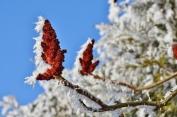 Ce temperaturi ne așteaptă în ianuarie. AFLĂ ce anunță ANM