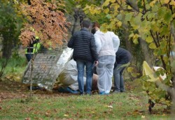 INFIORĂTOR ! Cadavrul unui bărbat, găsit joi dimineața într-un parc. Acesta avea capul zdrobit