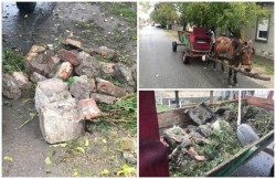 Un arădean a fost amendat de două ori în aceeaşi zi de Poliţia Locală