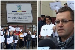 Protest al angajaţilor din cadrul Agenţiei de Plăţi şi Intervenţie în Agricultură Arad