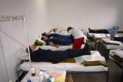 Peste 8000 ml. de sânge ,, bleu – jandarm”, au părăsit legal sediul Jandarmeriei Arad
