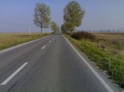 Consiliul Judeţean Arad aşteaptă finanţare de la Guvern pentru reabilitarea a 72 km de drumuri judeţene