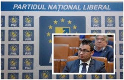Glad Varga (PNL): „PSD continuă politica de respingere a măsurilor de stopare a tăierilor ilegale de păduri “