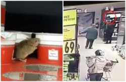 Kaufland aduce dovada VIDEO: Şoarecele din supermarketul de la Lebăda a fost plasat de clientul care l-a filmat!