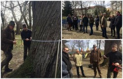 Calitatea spaţiilor verzi din Arad, în atenţia specialiştilor români şi maghiari