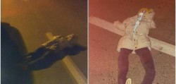 Șocant ! Șoferii din Timișoara au trecut prin clipe înspăimântătoare