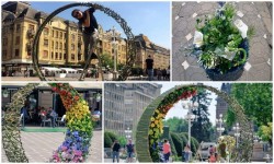 Aradul reprezentat la Timfloralis