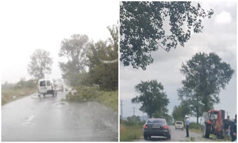 Furtuna face ravagii în județul Arad. Copaci căzuți, drumuri blocate