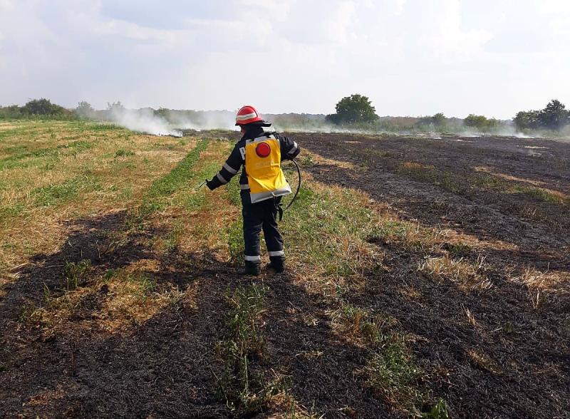 Incendiu de vegetație uscată în apropiere de Aeroportul Arad