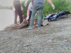La Ineu a fost găsit cadavrul unui bărbat, plutind pe râul Crișul Alb