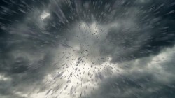 ALERTĂ meteo: COD PORTOCALIU de furtuni puternice cu grindină și descărcări electrice pentru județele Arad, Caraş-Severin și Timiş