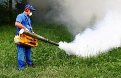 Tratamete la sol împotriva ţânţarilor în municipiul Arad