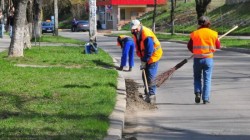 Începe curăţenia de toamnă în Municipiul Arad Vezi aici PROGRAMUL din fiecare cartier