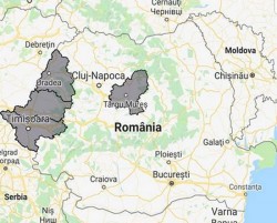 Alertă ANM: Cod galben de vreme severă imediată în județele Arad, Bihor,Timiș - intensificări ale vântului care vor atinge și depăși la rafală 55...60 km/h