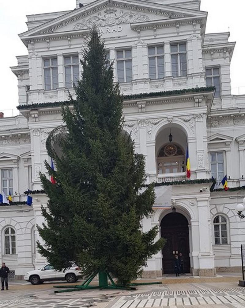 Luminiţele din Bradul de Crăciun se vor aprinde în ajun de Moș  Nicoale
