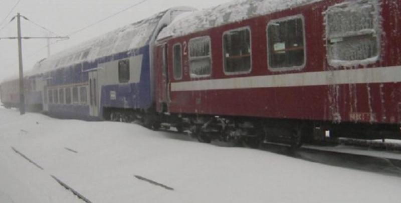 Mai multe trenuri au fost oprite pe liniile din judeţul Arad, după prăbuşirea unor copaci 