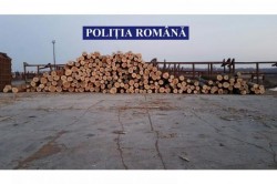 Trei bărbați din Cărand au fost prinși furând lemne pentru foc