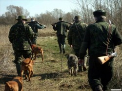 Prinși la braconaj în județul Arad, 14 români și 8 nemți