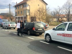 România 15 martie, 15 minute de protest. Arădenii s-au alăturat suceveanului care a construit 1 metru de autostradă