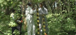 TRAGEDIE la Pecica ! Un tânăr de 19 ani a fost găsit spânzurat 